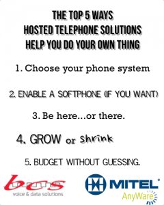 hosted telephone solutions